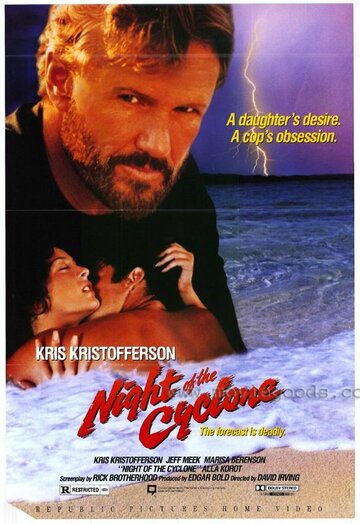 Ночной циклон (1991)