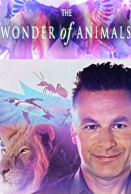 BBC. Чудеса животного мира (2014)