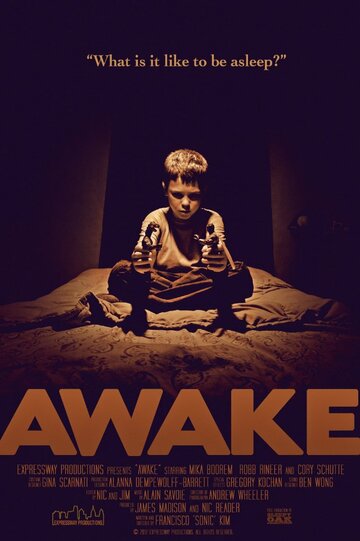 Awake (2013)