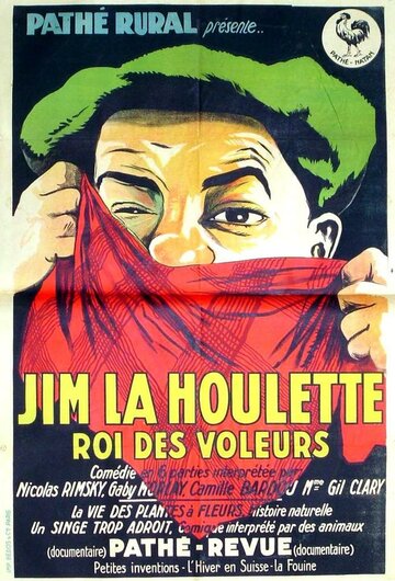Jim la houlette, roi des voleurs (1926)