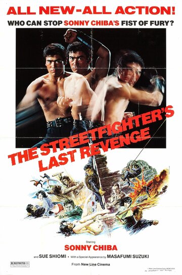 Последняя месть уличного бойца (1974)