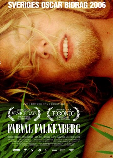 Прощай, Фалькенберг! (2006)