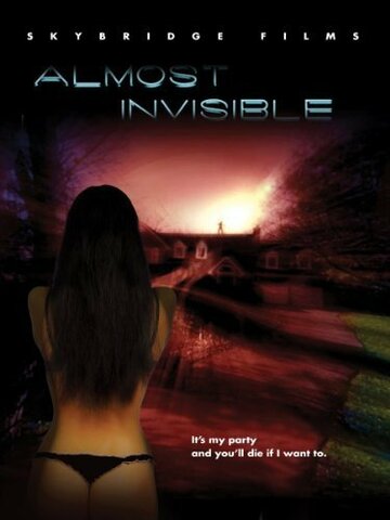 Almost Invisible (2010)